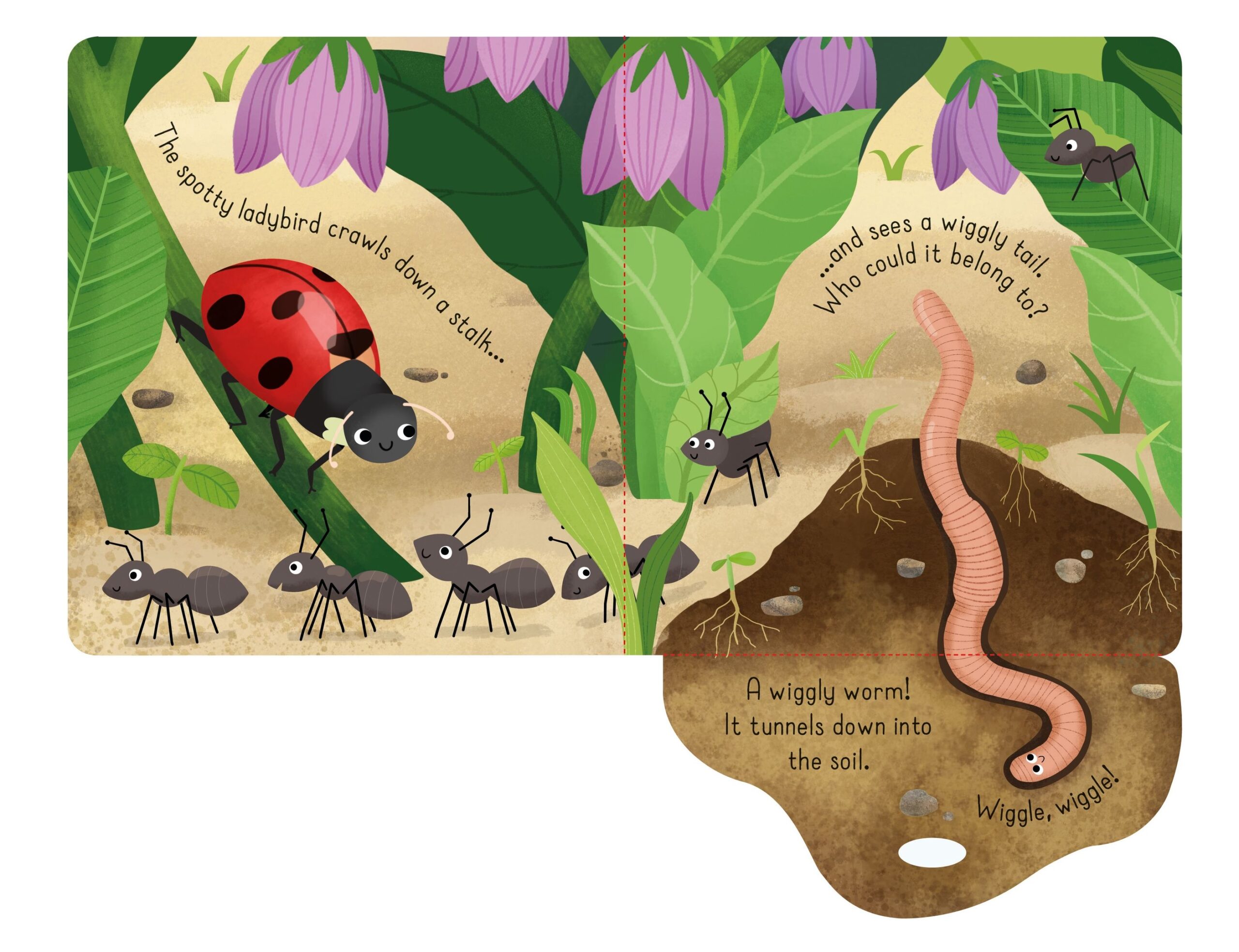 Little Lift and Look Bugs - Image 4